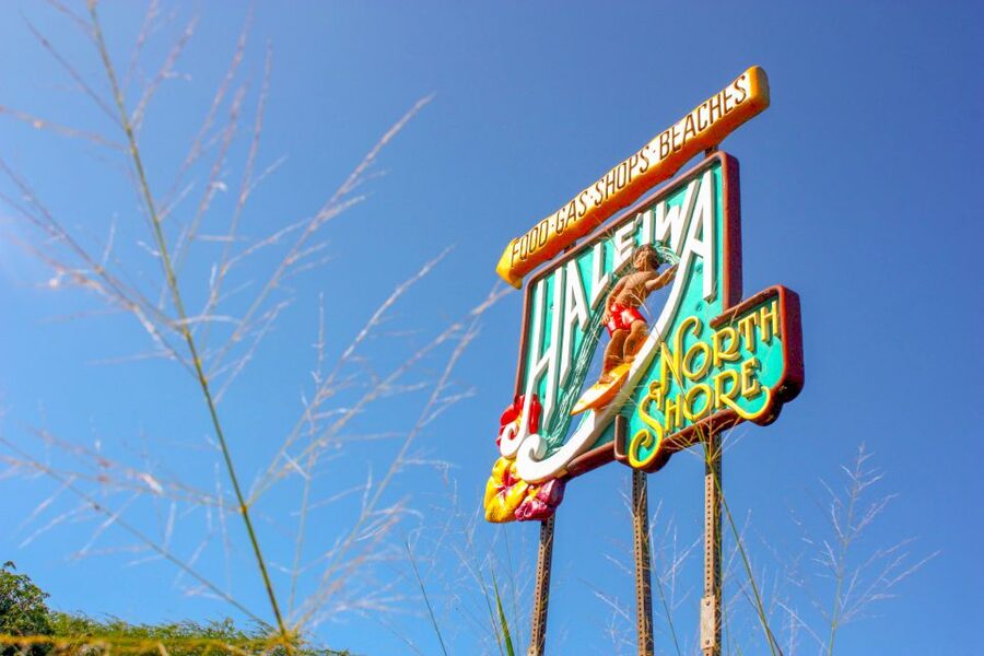 Honolulu: Oahu Island Full-Day Guided Tour by Bus with Lunch - Waimea Valley and the waterfall walk
