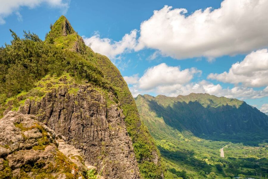 Honolulu: Oahu Island Full-Day Guided Tour by Bus with Lunch - Lunch and local flavors on the road