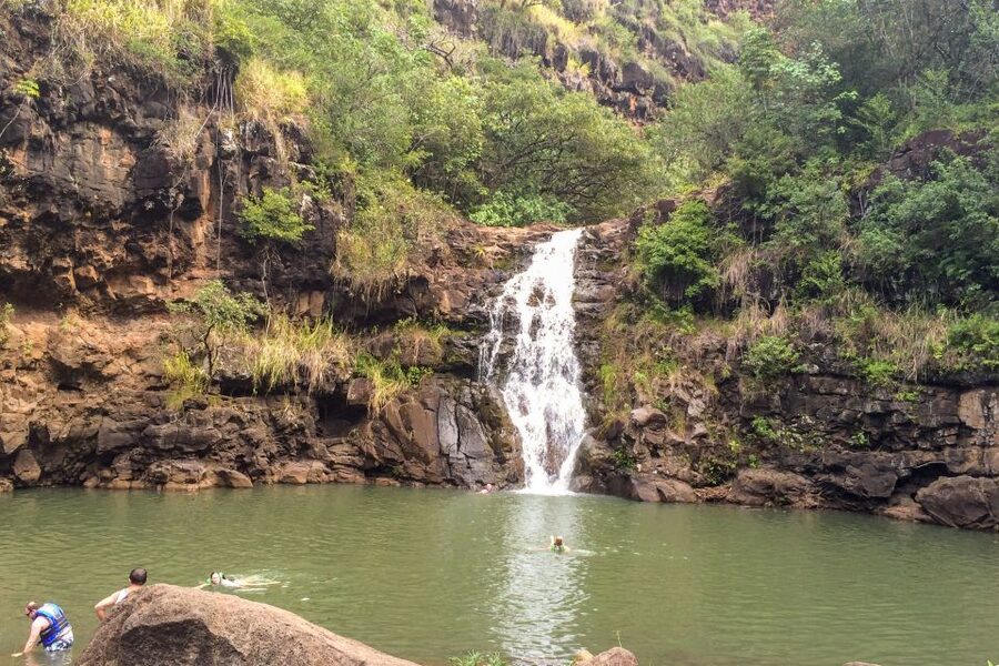 Honolulu: Oahu Island Full-Day Guided Tour by Bus with Lunch - What the guides add to the ride