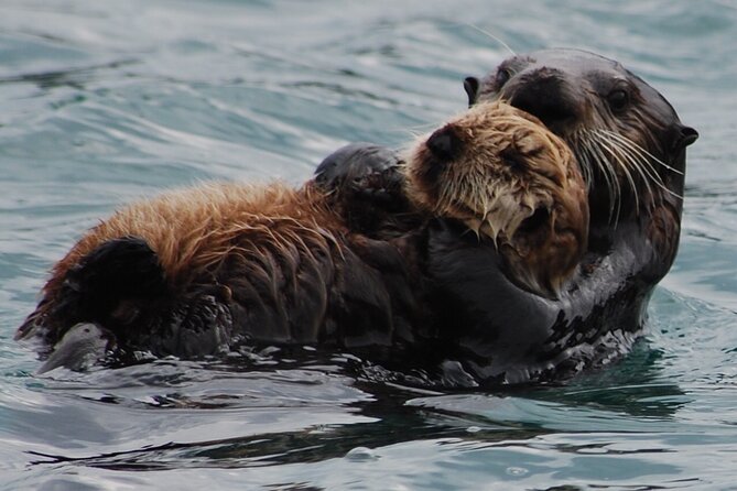 Hoonah Whale-Watching Cruise - Near Icy Strait Point - The stop at The Shops by HTA