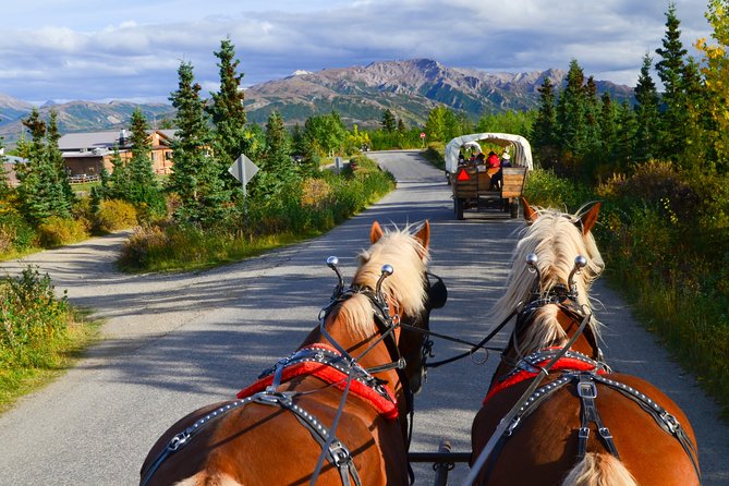 Horse-Drawn Covered Wagon Ride with Backcountry Dining - A covered wagon ride at Denali’s edge