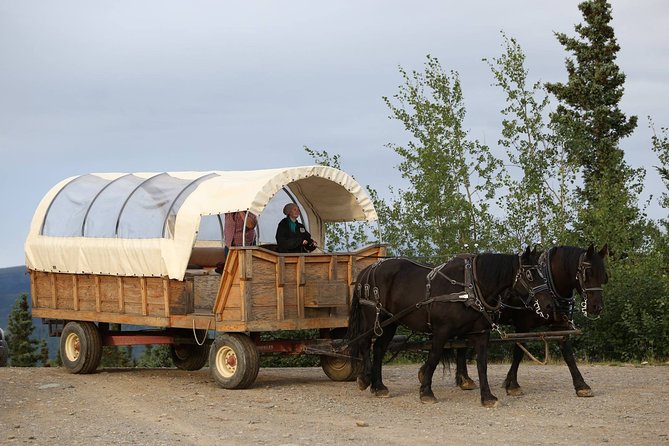 Horse-Drawn Covered Wagon Ride with Backcountry Dining - The return ride and what can change