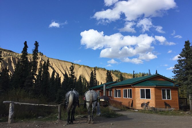Horse-Drawn Covered Wagon Ride with Backcountry Dining - Who will enjoy this Denali outing
