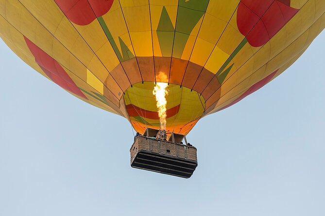 Hot Air Balloon Rides in Napa Valley - What you see from tree level to 2,000 feet