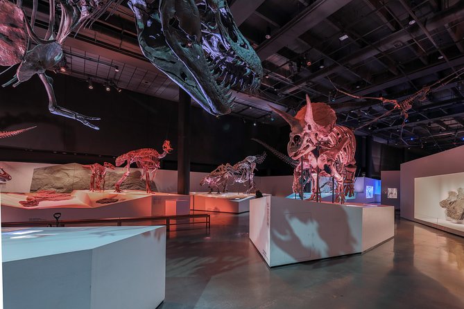 Houston Museum of Natural Science General Admission - Gems, minerals, and geodes bring a different kind of drama