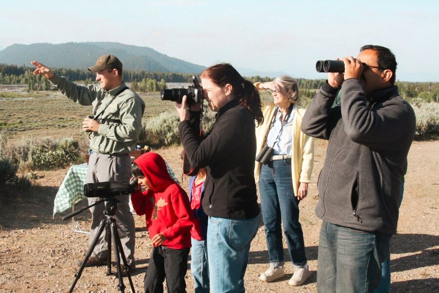 Jackson: Grand Teton National Park Guided Wildlife Tour - More than an animal count