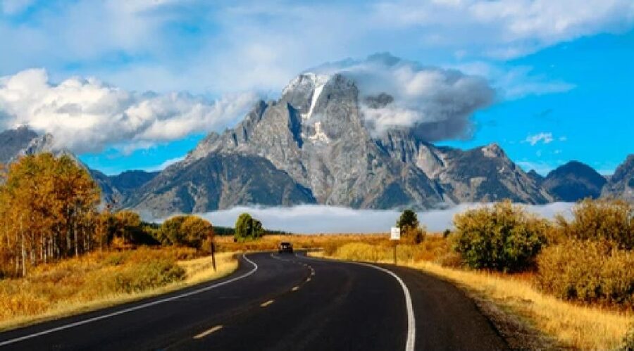 Jackson: Grand Teton National Park Guided Wildlife Tour - Who should book this tour