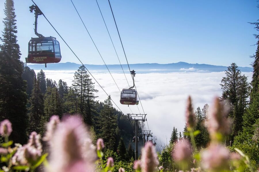 Jackson Hole: Aerial Tram and Gondolas Sightseeing - Getting there and parking