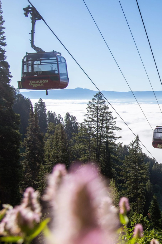 Jackson Hole: Aerial Tram and Gondolas Sightseeing - What you see from Rendezvous Mountain