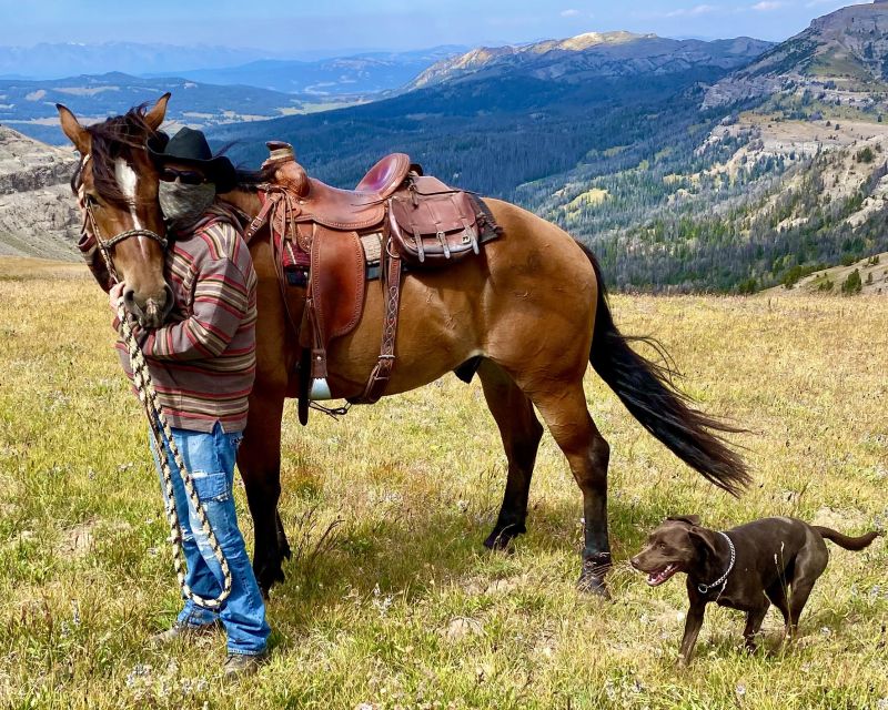 Jackson Hole: Bridger-Teton National Forest Horseback Ride - Starting at Historic Heart Six Ranch