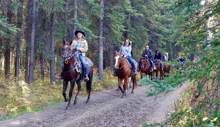 Jackson Hole: Bridger-Teton National Forest Horseback Ride - The Short Lesson Before the Trail