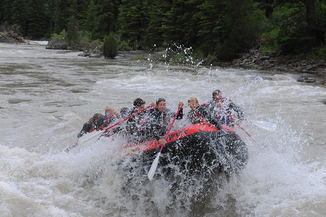 Jackson Hole Whitewater Rafting Classic from Jackson Hole,Wyoming - Who should book this rafting run?