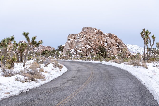 Joshua Tree National Park Self-Guided Driving Audio Tour - Lost Horse Valley and the mining stories