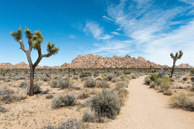 Joshua Tree National Park Self-Guided Driving Audio Tour - Skull Rock, stargazing, and the final route