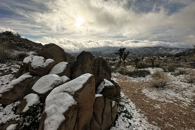Joshua Tree National Park Self-Guided Driving Audio Tour - Starting near Joshua Tree Visitor Center