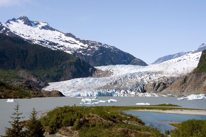 Juneau Wildlife Whale Watching & Mendenhall Glacier - What the short glacier stop does well