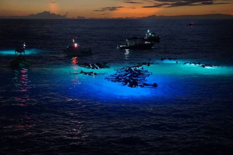 Kailua-Kona: Manta Ray Watching Nighttime Boat Trip - What happens during the two-hour outing