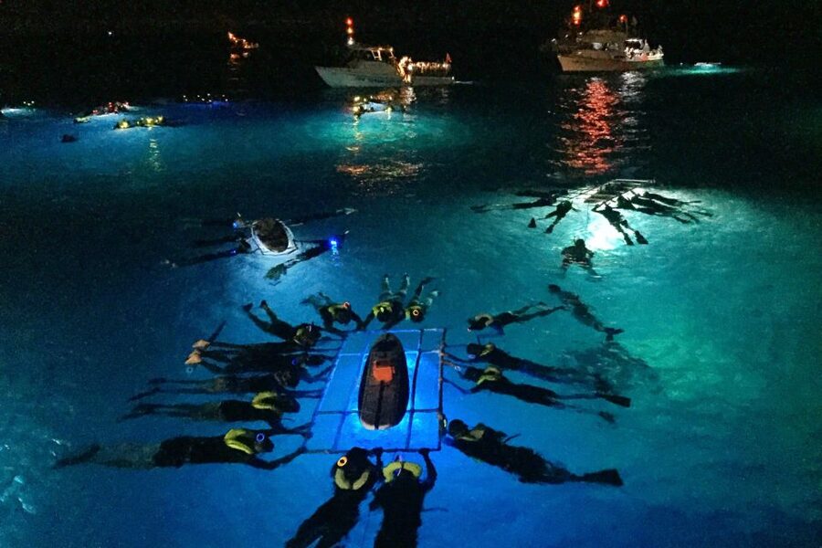 Kailua Kona: Night Manta Ray Adventure on the Big Island - Key points to know before booking
