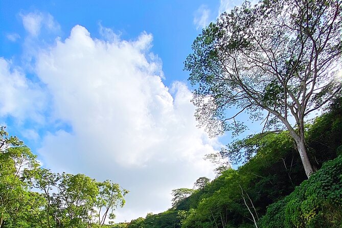 Kauai Adventure: Kayak & Hike to Secret Falls with Expert Guide - Guides who add more than directions