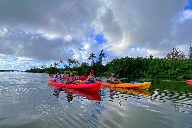 Kauai Adventure: Kayak & Hike to Secret Falls with Expert Guide - What the $140 price includes