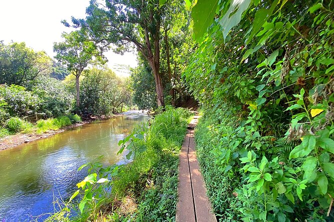 Kauai Adventure: Kayak & Hike to Secret Falls with Expert Guide - What to pack for a smoother day