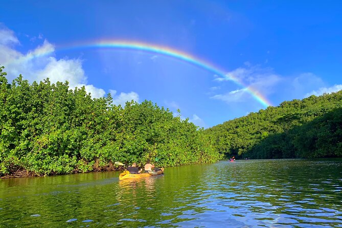 Kauai Adventure: Kayak & Hike to Secret Falls with Expert Guide - Timing, weather, and cancellation details