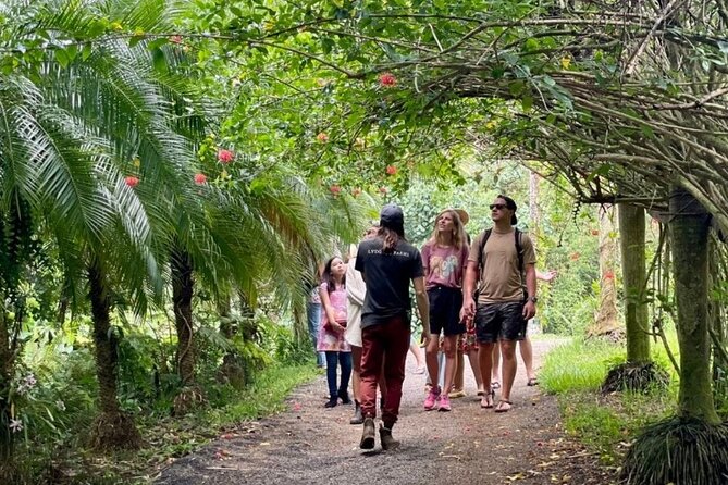 Kauai Chocolate Farm Tasting Tour - What you taste before the chocolate flight