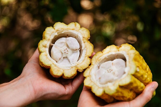 Kauai Chocolate Farm Tasting Tour - Practical planning for your Kauai day