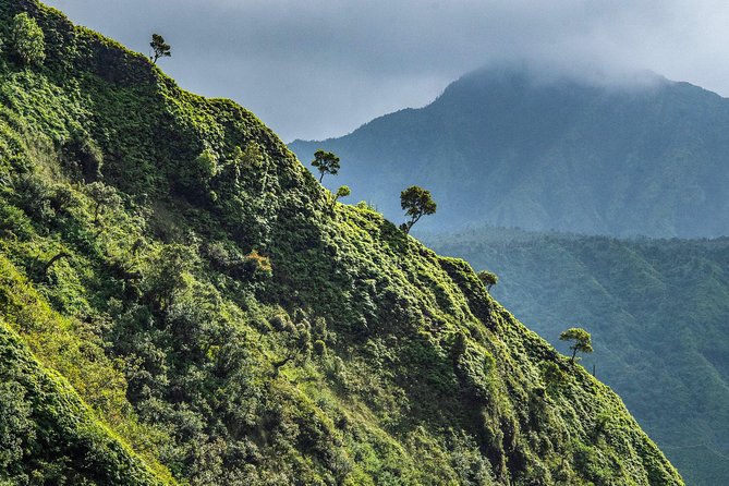 Kauai Eco Adventure Helicopter Tour - Manawaiopuna Falls, the Jurassic Park waterfall