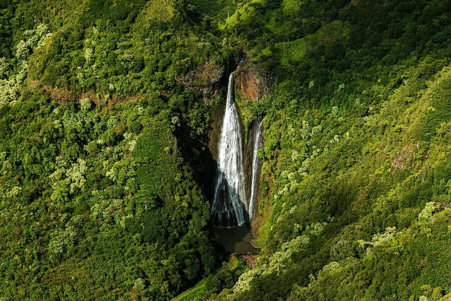 Kauai: Hughes 500 4-Passenger Doors-Off Helicopter Flight - Key points to know before booking