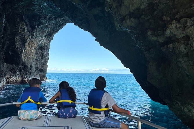 Kauai: Na Pali Coast Power Catamaran - Wildlife watching on the Pacific