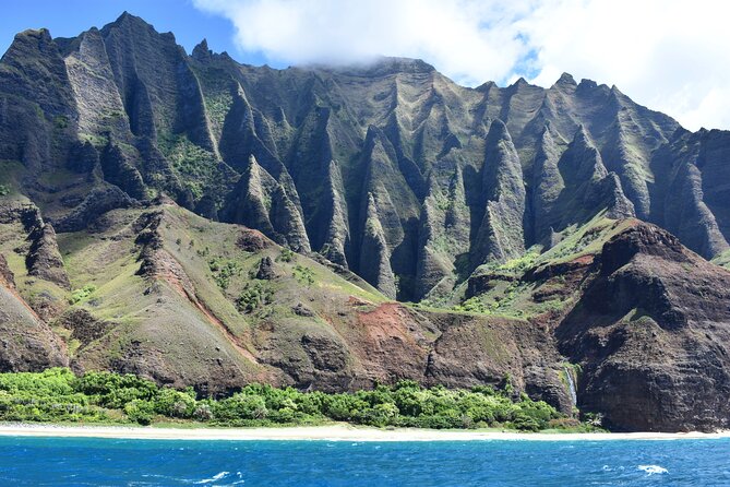 Kauai: Na Pali Coast Super Raft Snorkel Adventure - Dolphins, whales, turtles, and changing wildlife luck