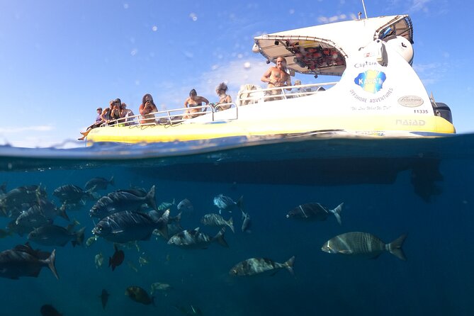 Kauai: Na Pali Coast Super Raft Snorkel Adventure - Snorkeling with fish and turtles