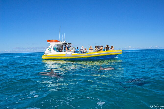 Kauai: Na Pali Coast Super Raft Snorkel Adventure - Is $235 a fair price?