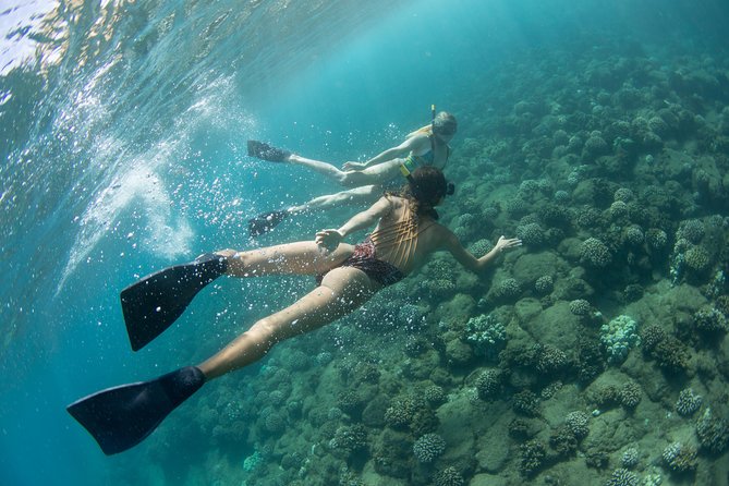 Kauai’s Na Pali Coast Snorkel and Sail Tour - Lunch, Shade, and a More Comfortable Ride