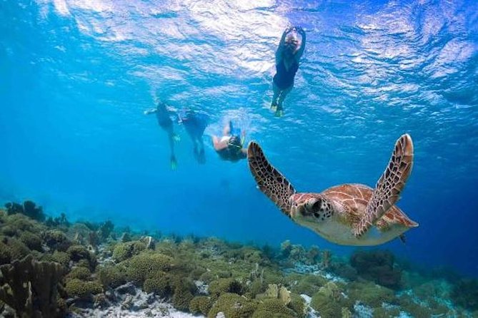 Kauai’s Ultimate Guided Shore Snorkel in South Poipu - Why the small group matters at Poipu Beach