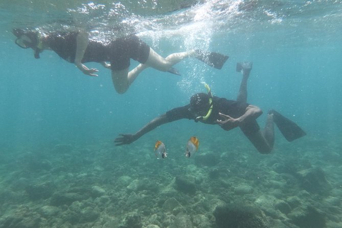 Kauai’s Ultimate Guided Shore Snorkel in South Poipu - Timing, cancellations, and practical limits