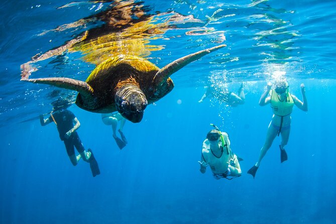 Kauai's Ultimate South Island Zodiac Boat Snorkel Adventure - First snorkel stop: calm water and Hawaiian green sea turtles