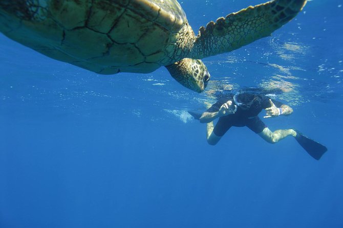 Kauai's Ultimate South Island Zodiac Boat Snorkel Adventure - Snacks, drinks, and a second look below the surface