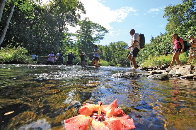 Kauai: Secret Falls Kayak and Hike - Why the Wailua River route is worth your morning