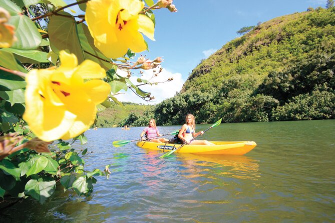 Kauai: Secret Falls Kayak and Hike - Is $125 a fair price?