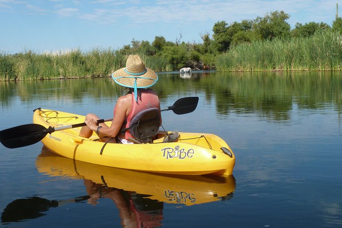 Kayaking the Salt River Foxtail Trip - Why the Lower Salt River makes a fine kayak route