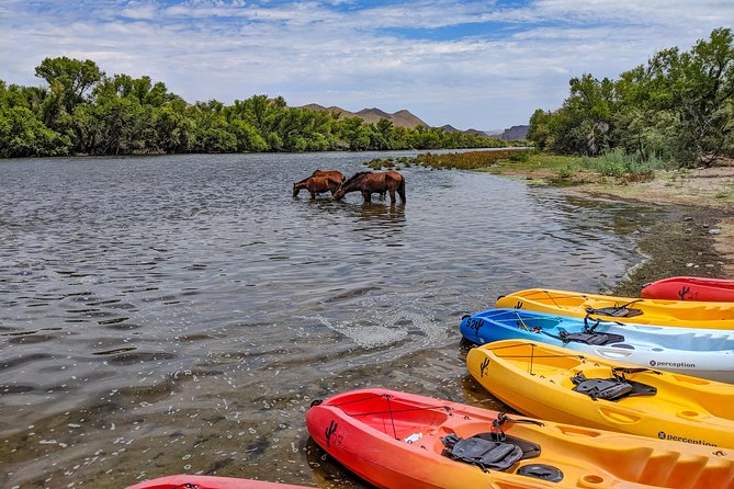 Kayaking the Salt River Foxtail Trip - What the two-hour float feels like