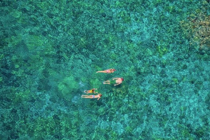 Kealakekua Bay Afternoon Snorkel: Family Fun on the Kona Coast - Who should book this afternoon outing