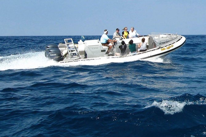 Kealakekua Bay Captain Cook Snorkel Exclusive - The crew and the small-boat feel
