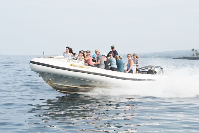 Kealakekua Bay Captain Cook Snorkel Exclusive - Who should choose this excursion?