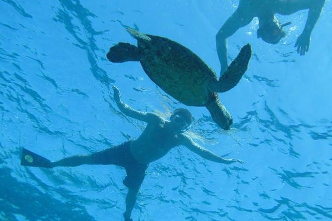 Kealakekua Bay Captain Cook Snorkel Exclusive - What makes Kealakekua Bay special