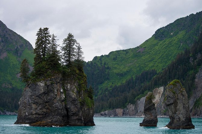 Kenai Fjords and Resurrection Bay Half-Day Wildlife Cruise - Bear Glacier and the Meaning of Piedmont Ice