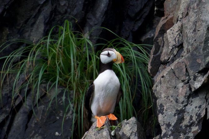 Kenai Fjords and Resurrection Bay Half-Day Wildlife Cruise - What the Boat Is Like During Changing Weather