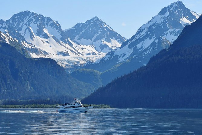 Kenai Fjords and Resurrection Bay Half-Day Wildlife Cruise - Is the $165.93 Price Fair?
